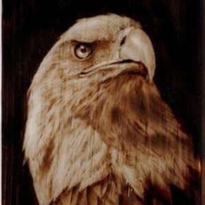 portrait of eagle woodcut